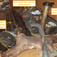 Illustration for article titled How To Remove Pistons From An Engine